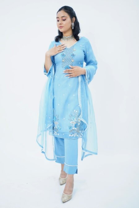 Azure Organza Kurta Set